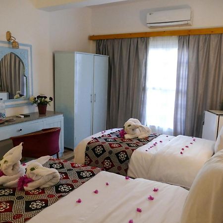 El Gezira Hotel Luxor Buitenkant foto