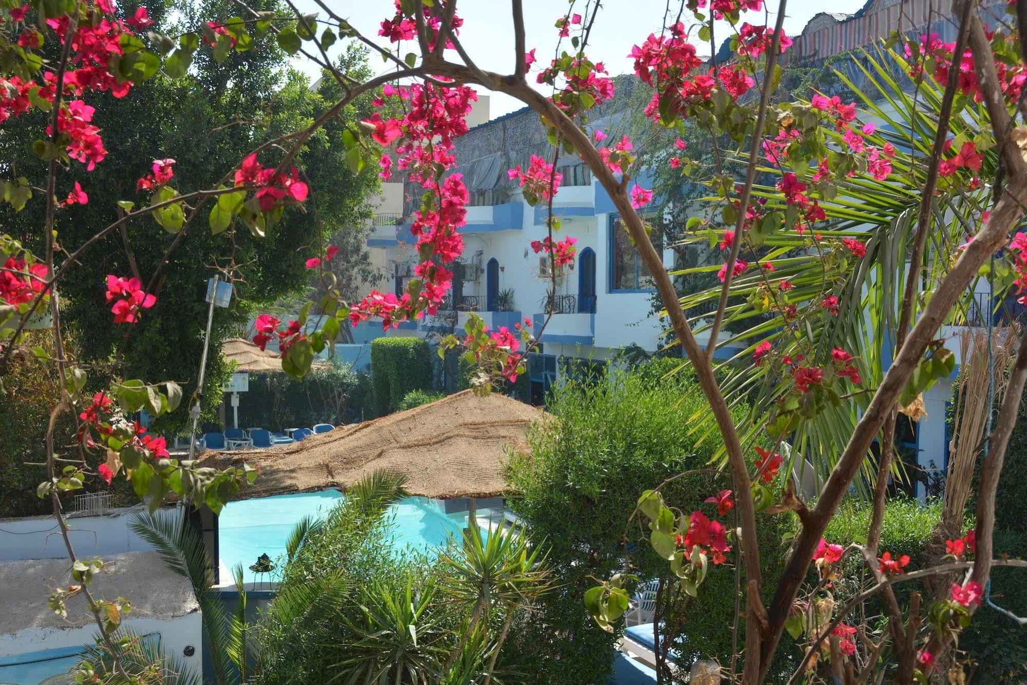 El Gezira Hotel Luxor Buitenkant foto